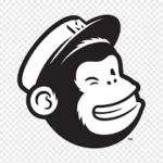 freelance digital marketing analyst in jeddah mailchimp jest tool image